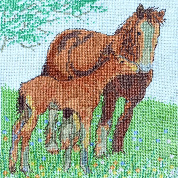 Horses embroidery