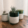 Eco Essence Jar with mini plant in a recycled glass and concrete holder by Katty’s Design.