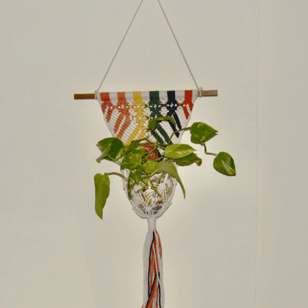 Handcrafted rainbow macrame pot holder by Rita Lewis, featuring a 17.5-inch dowel and 29-inch length