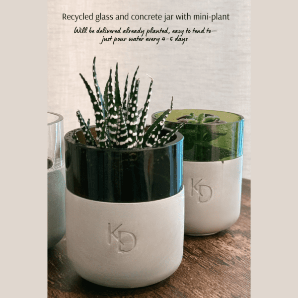 Eco Essence Jar with mini plant in a recycled glass and concrete holder by Katty’s Design.