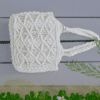 Handcrafted pure white macrame bag with intricate knotting, compact size, 19 cm wide, 16 cm high, and 5 cm deep.