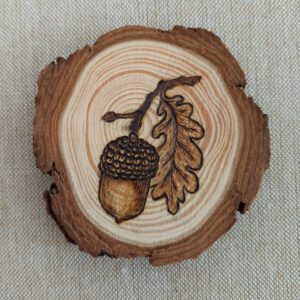 Acorn pyrography